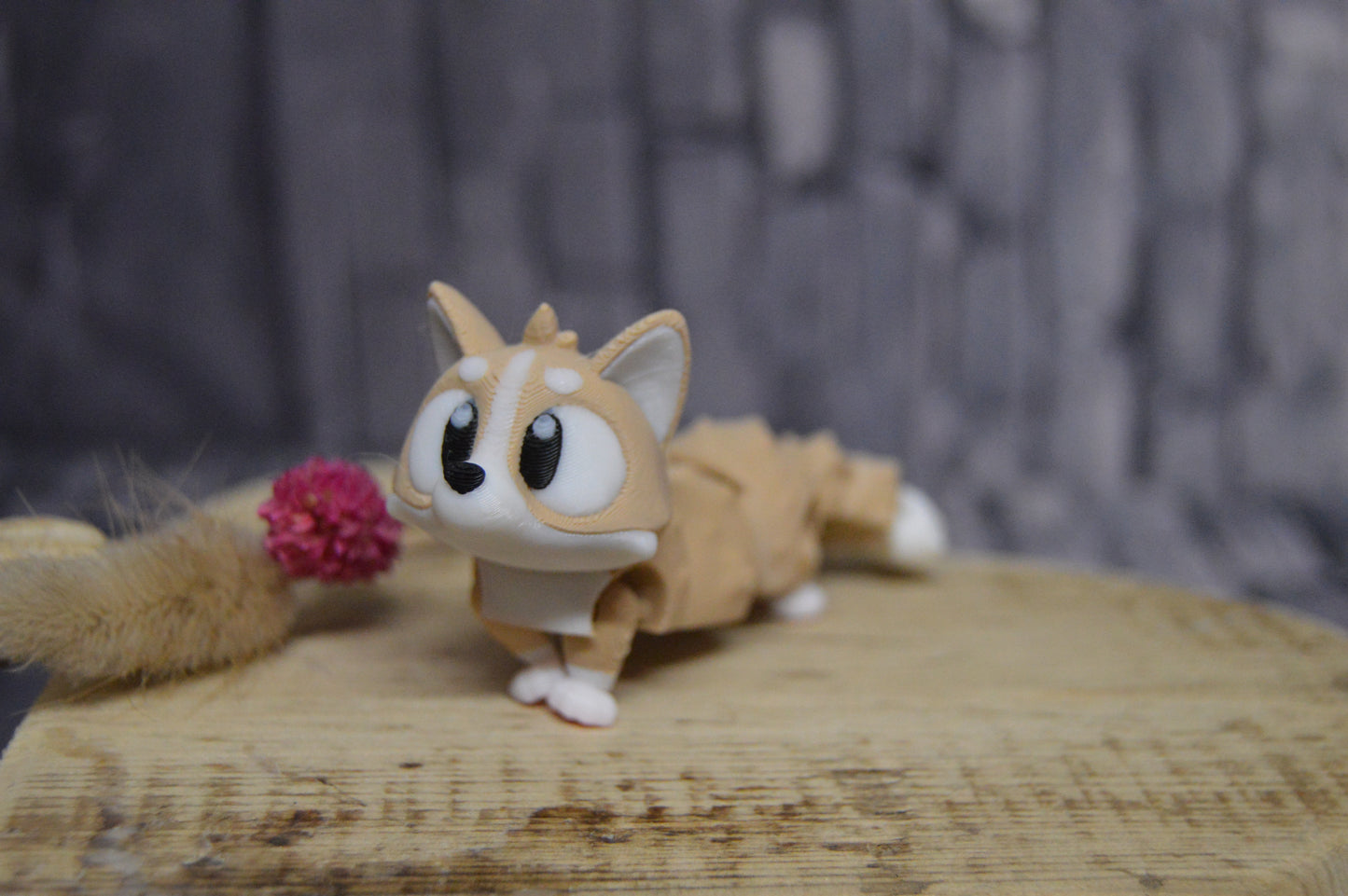 Corgi