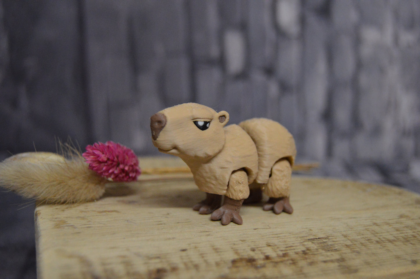 Capybara