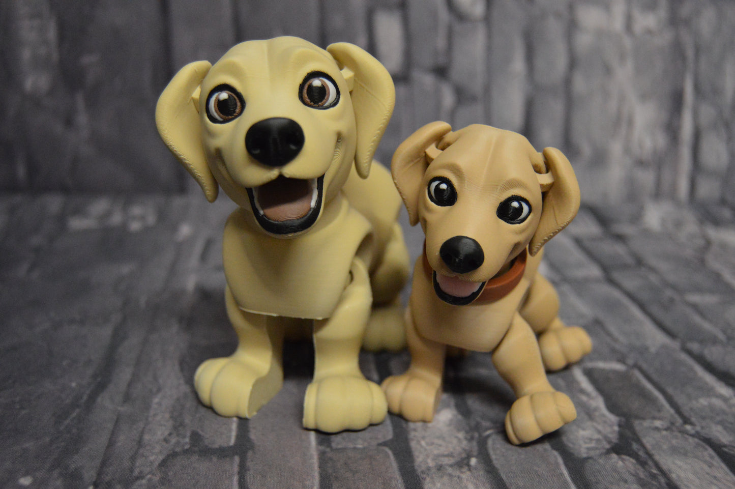 Labrador