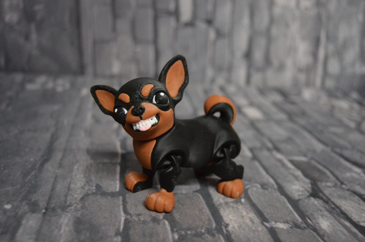 Chihuahua