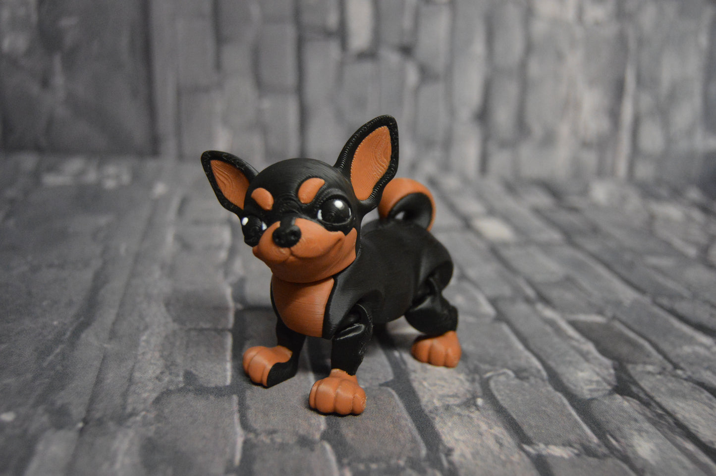 Chihuahua