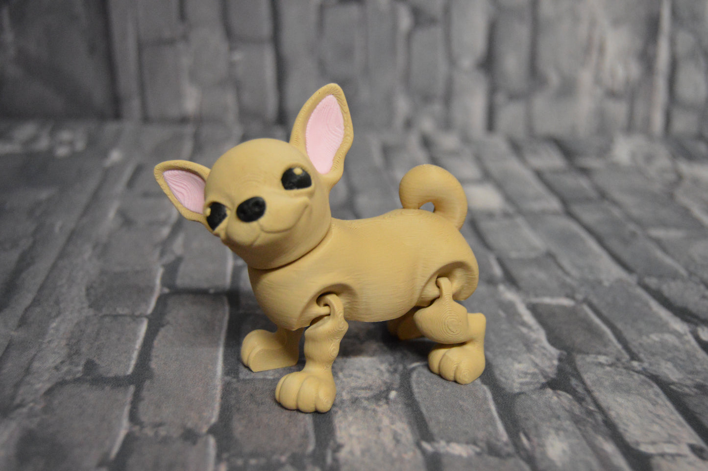 Chihuahua