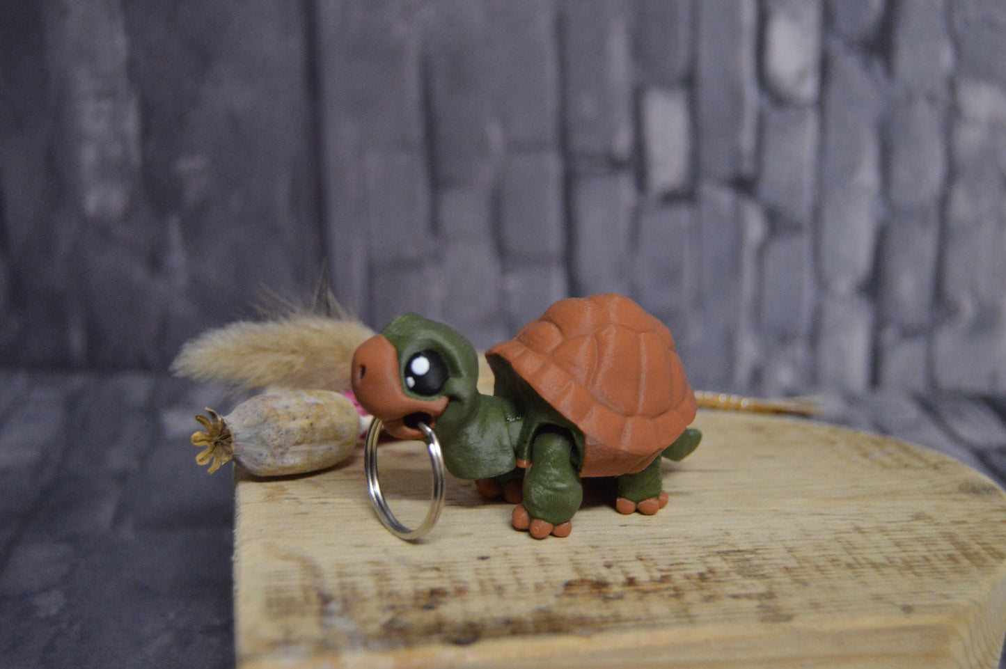 Schildkröte