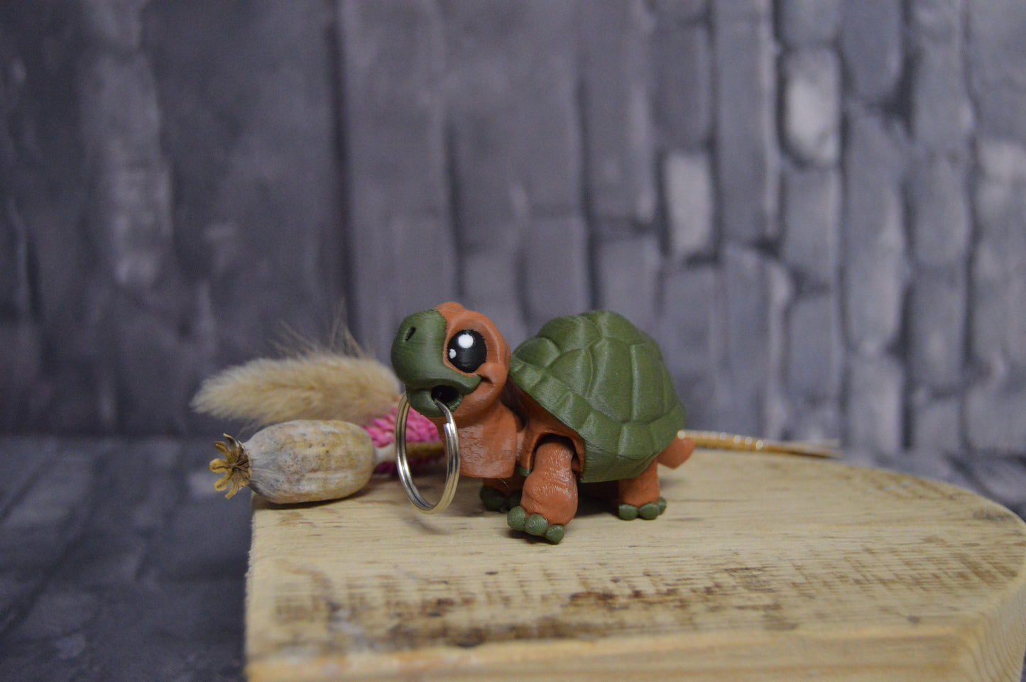 Schildkröte