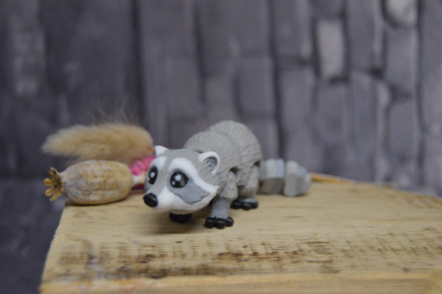 Waschbär