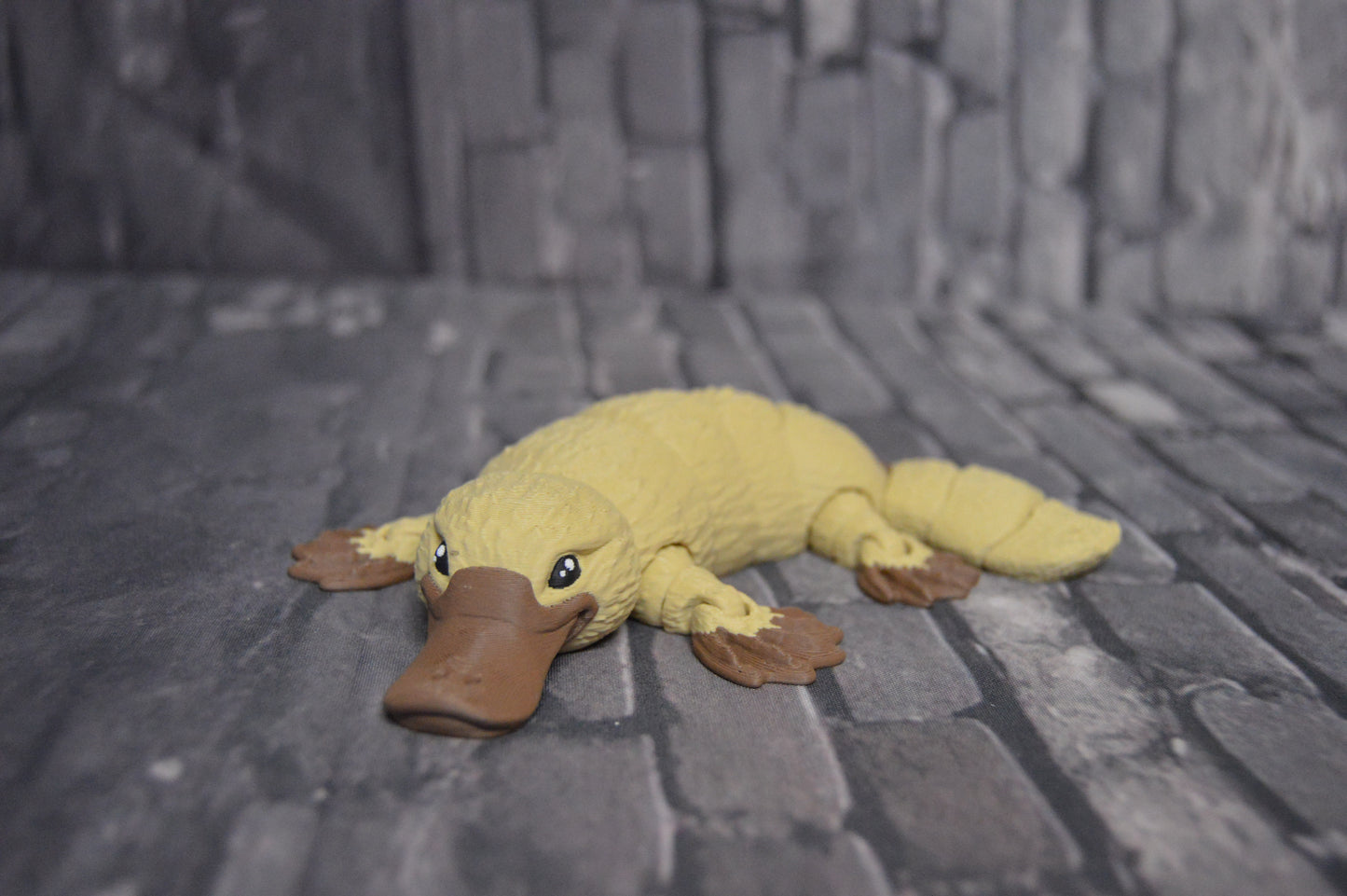 Schnabeltier