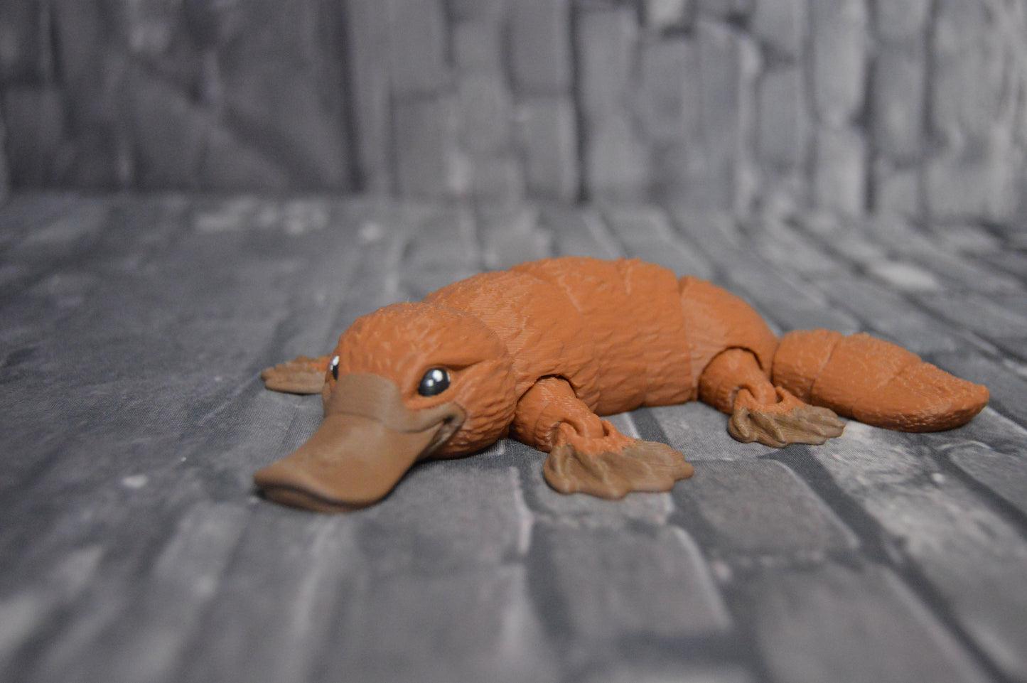 Schnabeltier