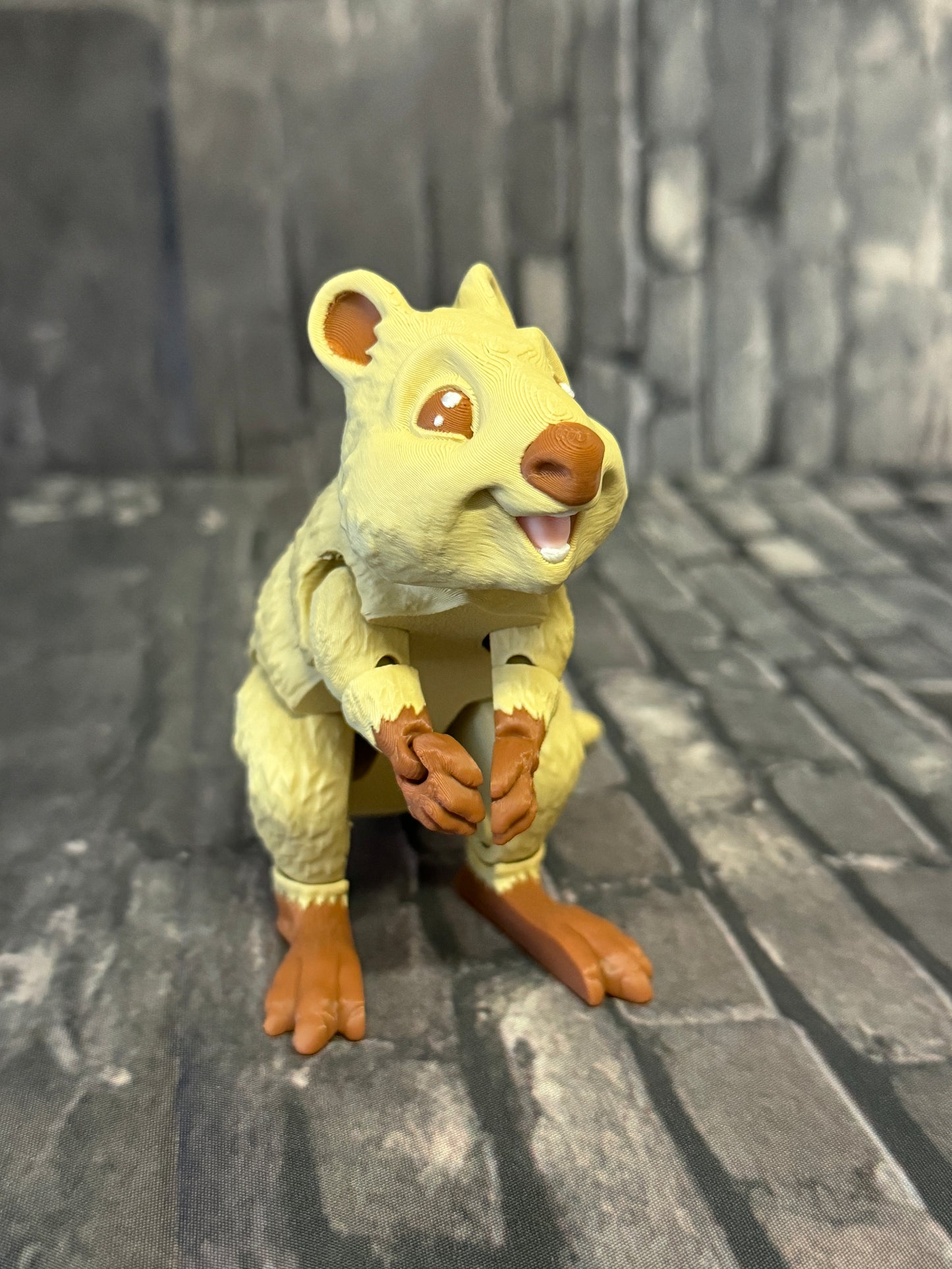 Quokka