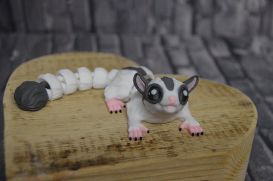 Sugar Glider
