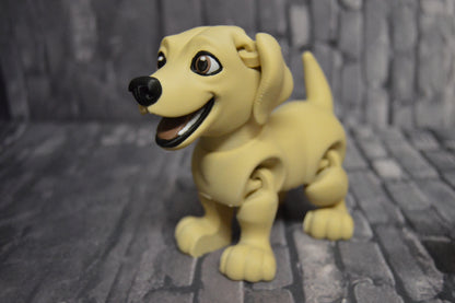 Labrador