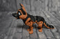 Schäferhund