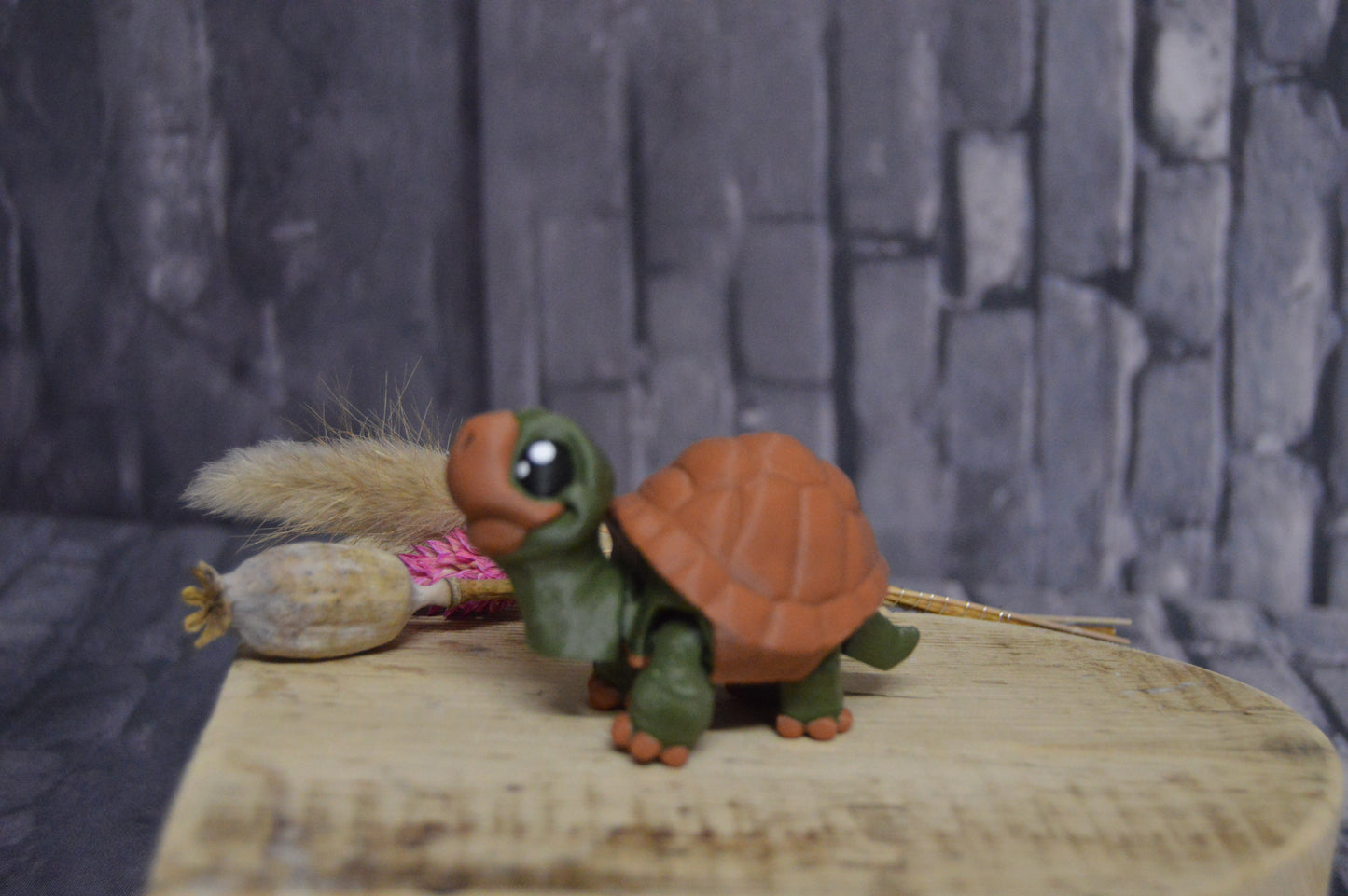 Schildkröte