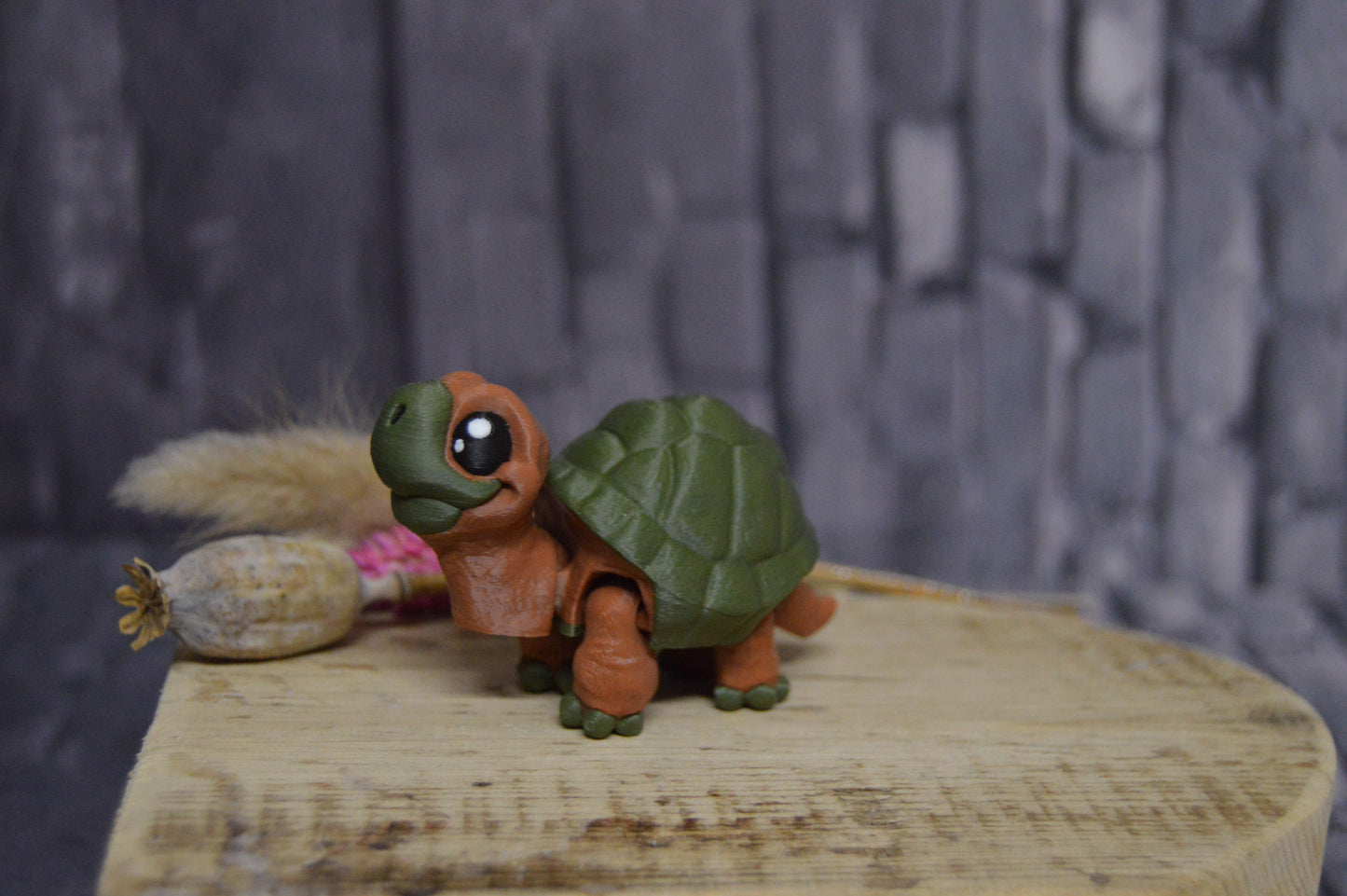 Schildkröte