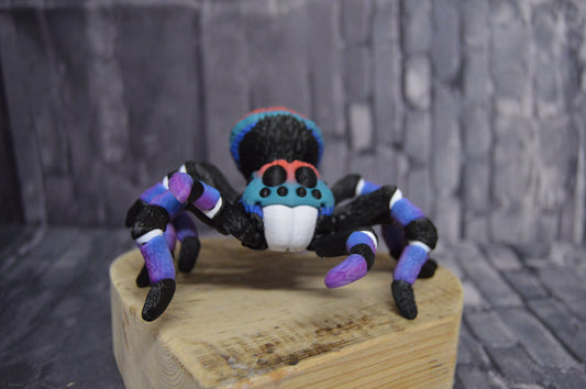 Spinne