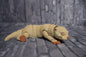 Otter