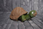 Schildkröten