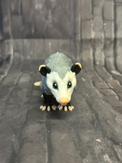 Opossum klein