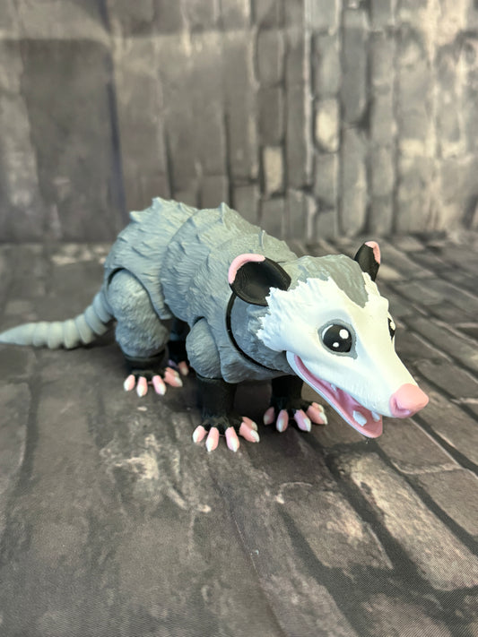 Opossum groß