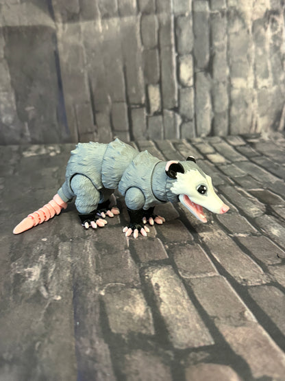 Opossum klein